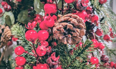 Adventskalender 24. desember