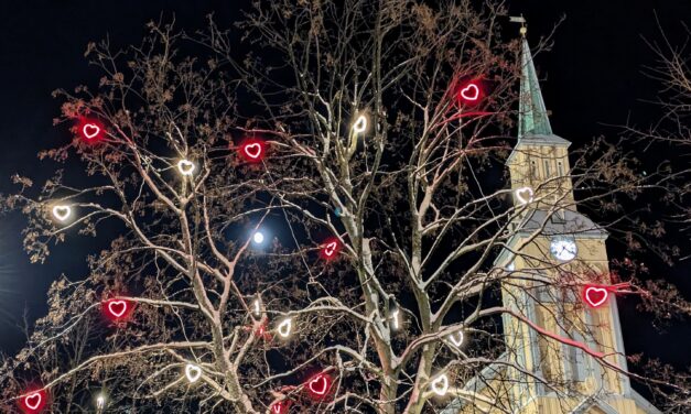 Adventskalender 17. desember