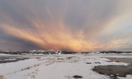 Tuuli muistaa – vinden hugsar