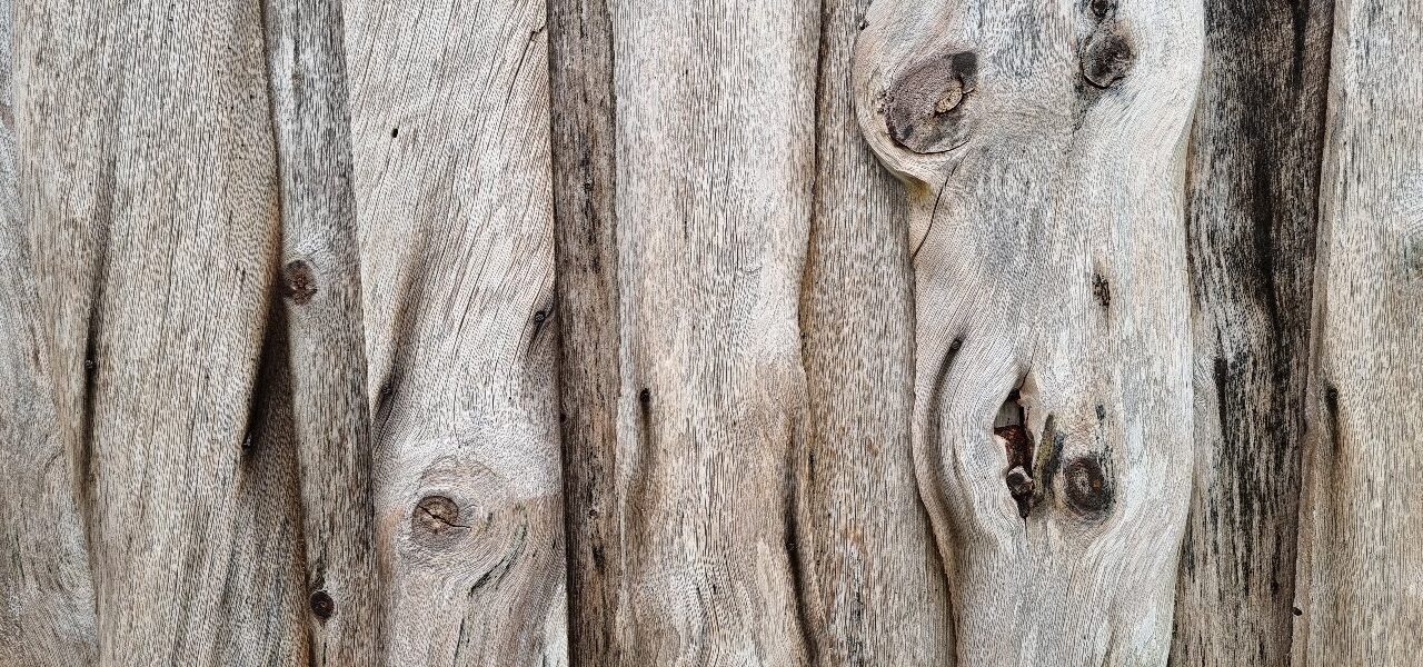 Februar: Lær kvensk med Ruijan Kaiku