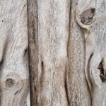 Februar: Lær kvensk med Ruijan Kaiku