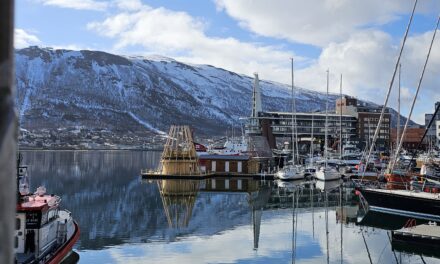 Ny studie: kan badstue beskytte hjernen?