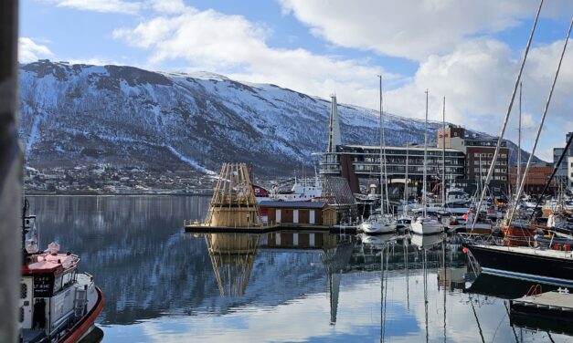 Ny studie: kan badstue beskytte hjernen?