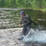 Åpent brev: Bevaring og utvikling av kvensk laksefiskekultur