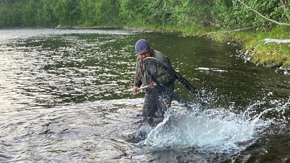 Åpent brev: Bevaring og utvikling av kvensk laksefiskekultur