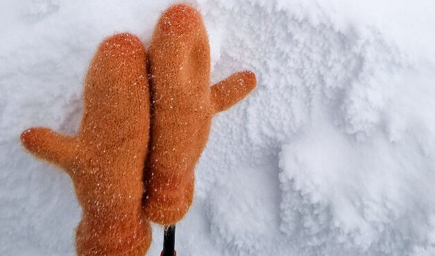 Votter i kulde • Vanhtthuita kylmässä