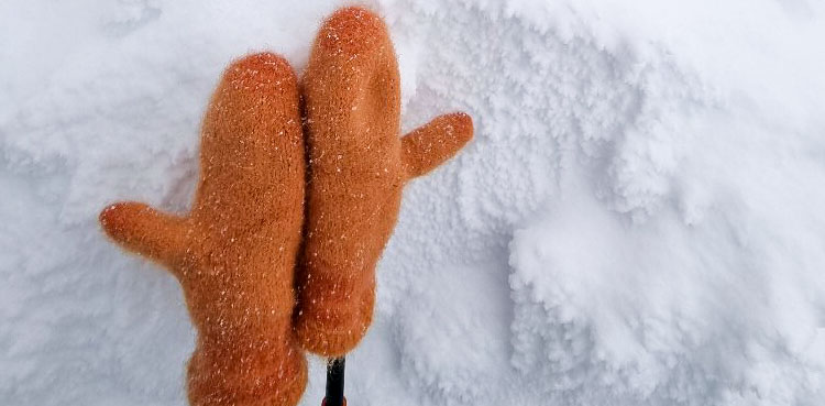 Votter i kulde • Vanhtthuita kylmässä