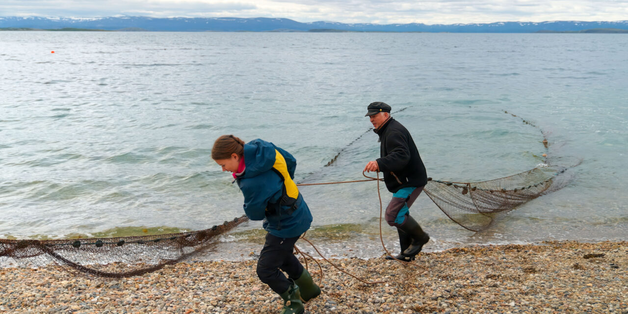 En fremtid for kvensk språk og kultur?