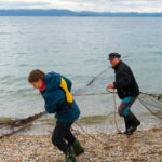 En fremtid for kvensk språk og kultur?