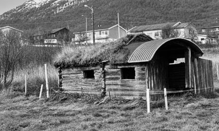 Saunamysteriet (del 3): – Et fremmed element