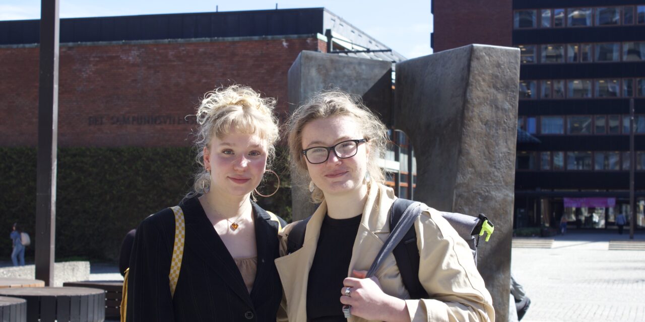 Språkdagen: Hvordan er språkkunnskapene til studentene?