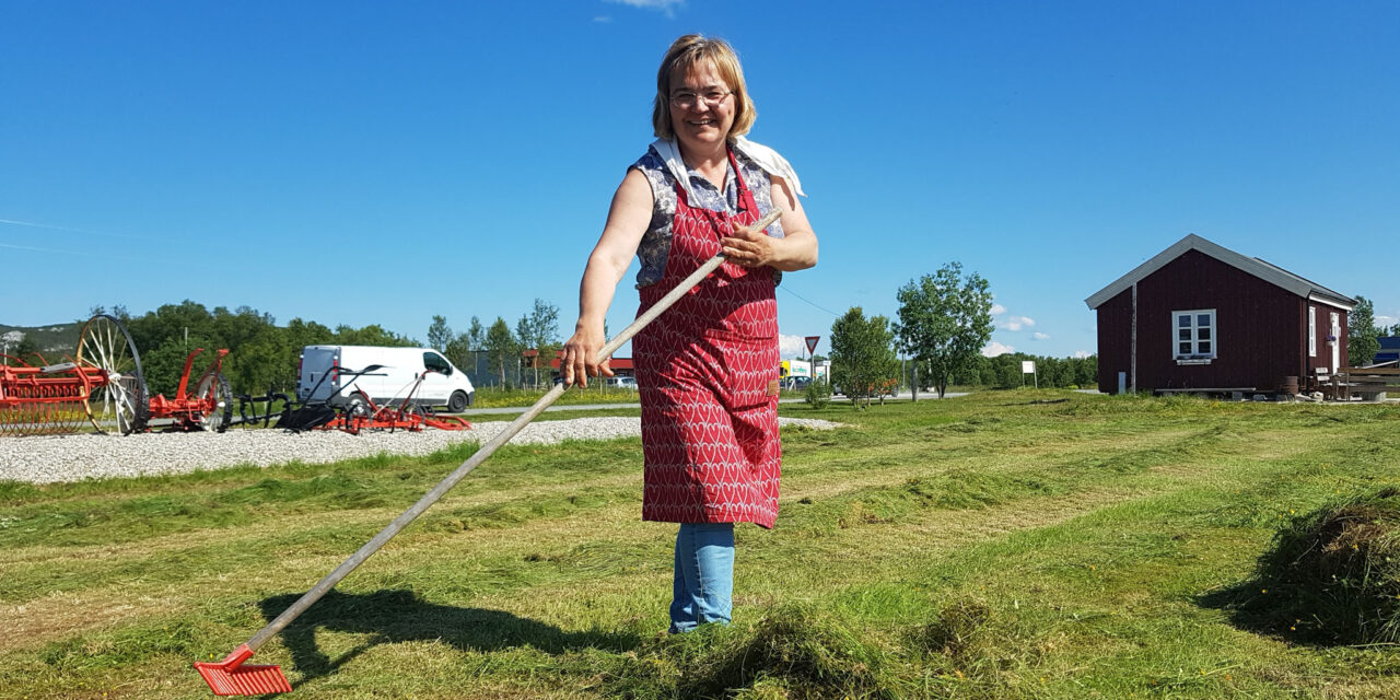 Ruijan Raatio: Vesisaari ja Paaski ja hyvä kesä