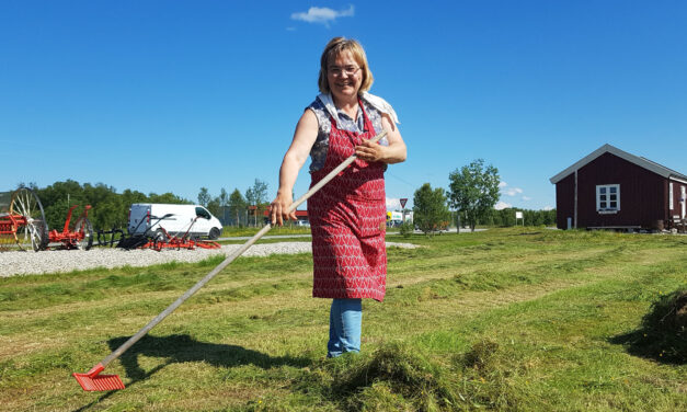 Ruijan Raatio: Vesisaari ja Paaski ja hyvä kesä