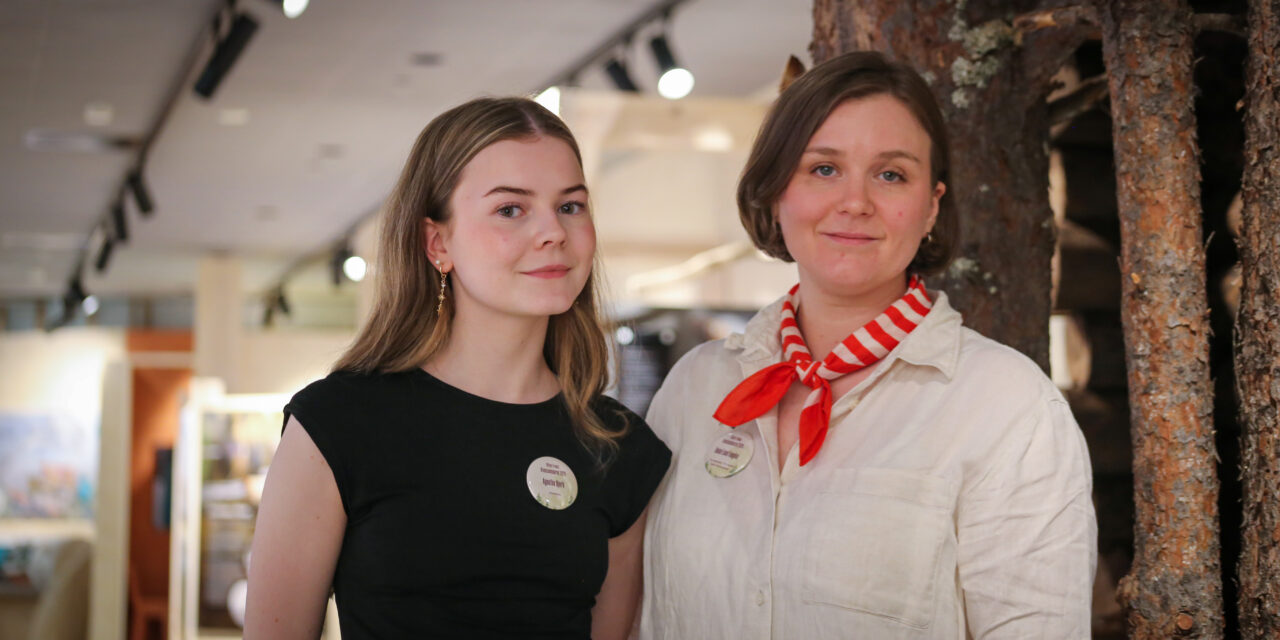 Anser «Unge stemmer» som et vellykket konsept