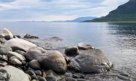 Du er ikke en dråpe i havet, du er hele havet i en dråpe