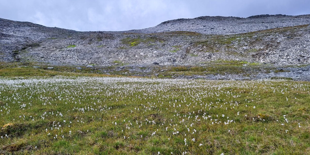 August • Aukustikuu: Lær mer kvensk med Ruijan Kaiku