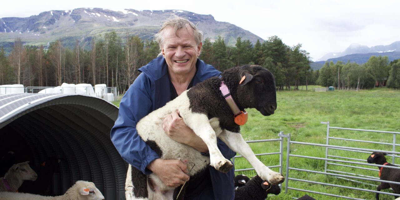 Sommerprat med Leif Bjørnar Seppola: Livet følger værmeldinga