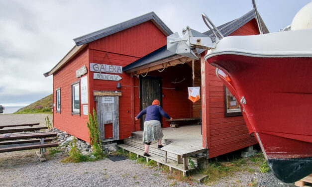 Her oppe hiver man seg kvikt rundt og tar saken i egne hender