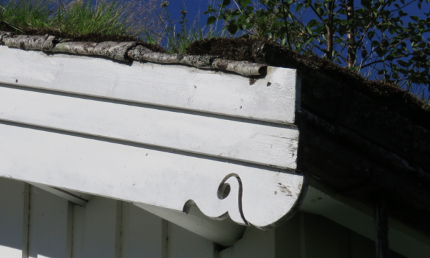 Smakfull detalj • Maukas detalji